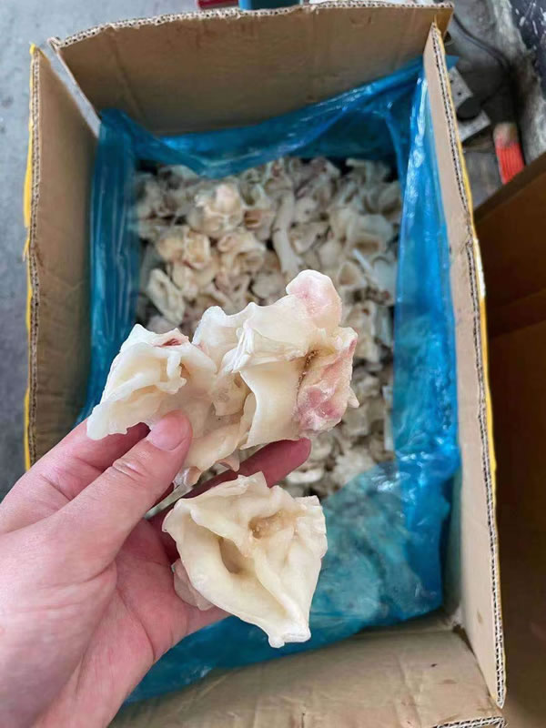 鱿鱼脖