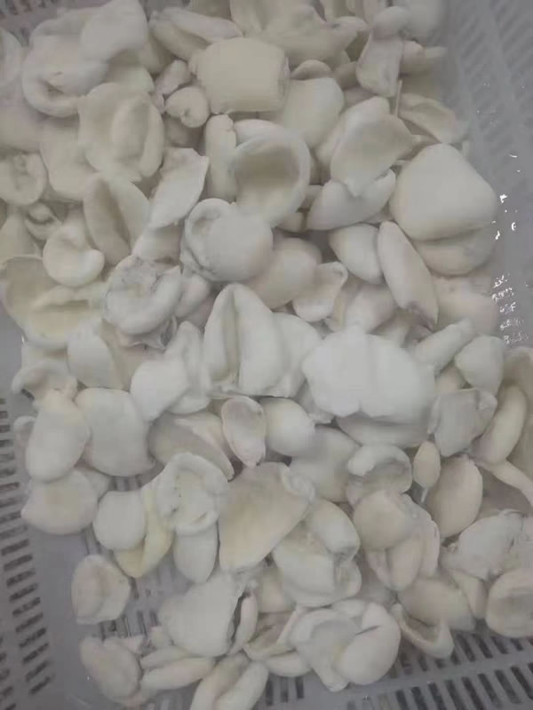墨鱼片