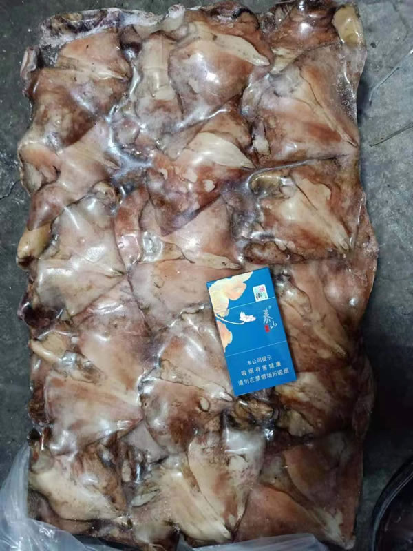 鱿鱼尾