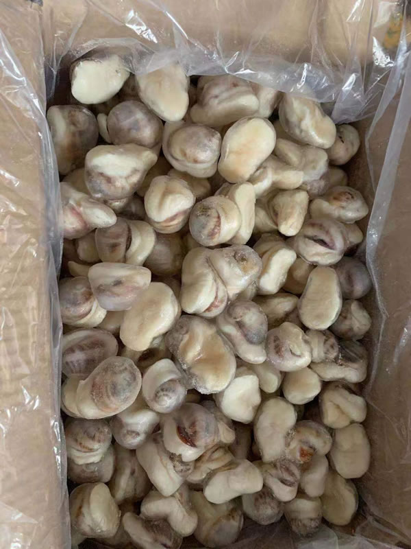 鲍螺