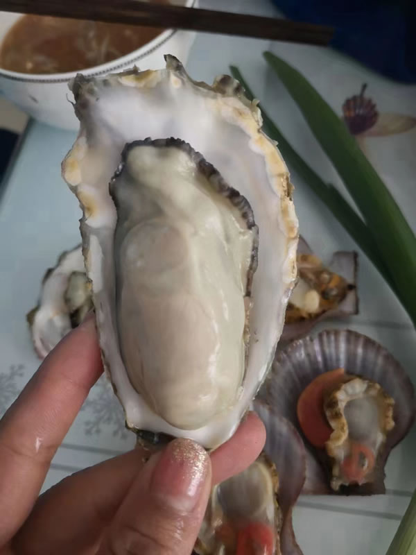 生蚝