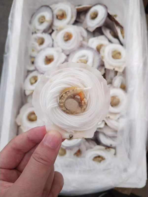 粉丝扇贝