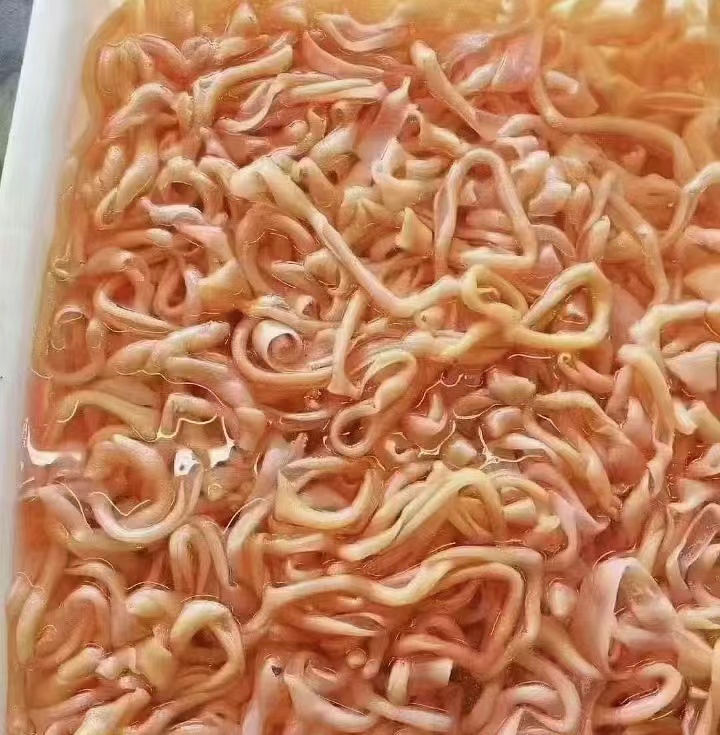 四川鸭肠 鸭肠  免洗鸭肠