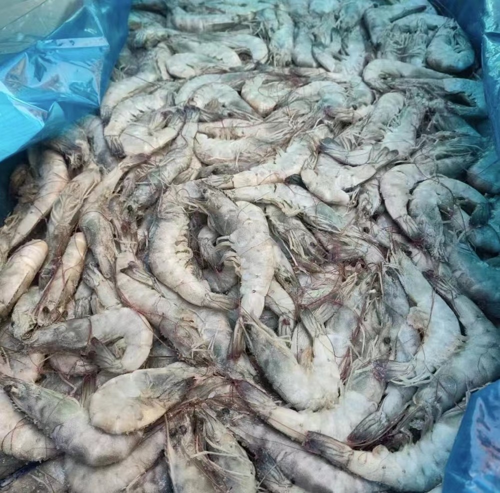 盐冻虾  大虾  青虾