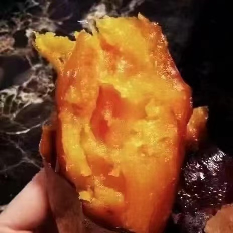 烤红薯  蜜署  烤蜜署